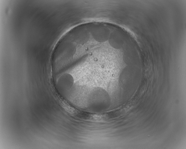 X0000073411271200608111315