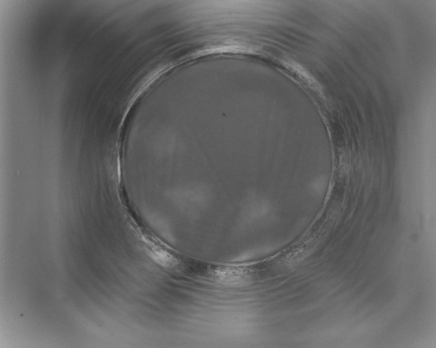 X0000073411274200608111315