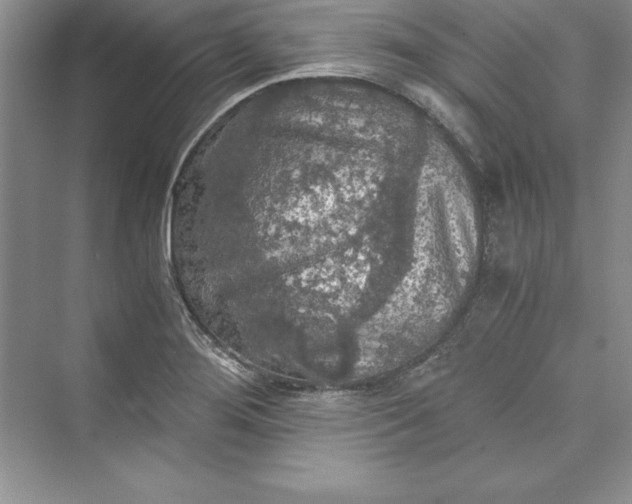 X0000073411276200608111315