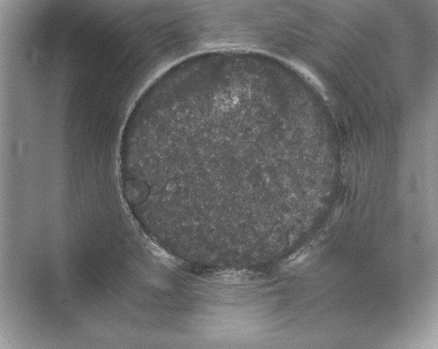 X0000073411279200608111315