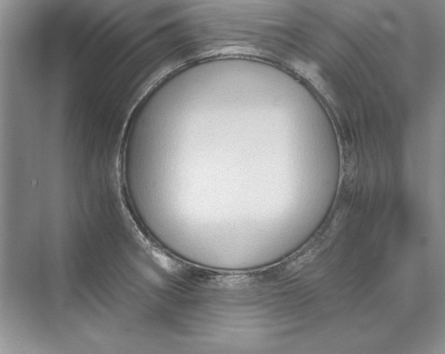 X0000073411282200608111315