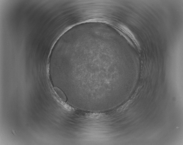 X0000073411284200608111315