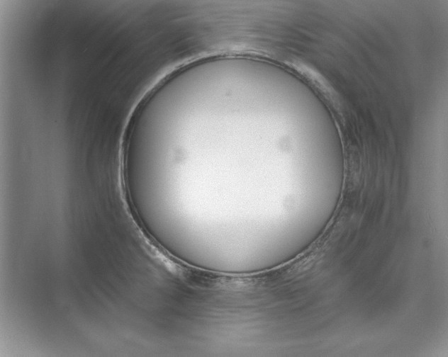 X0000073411286200608111315