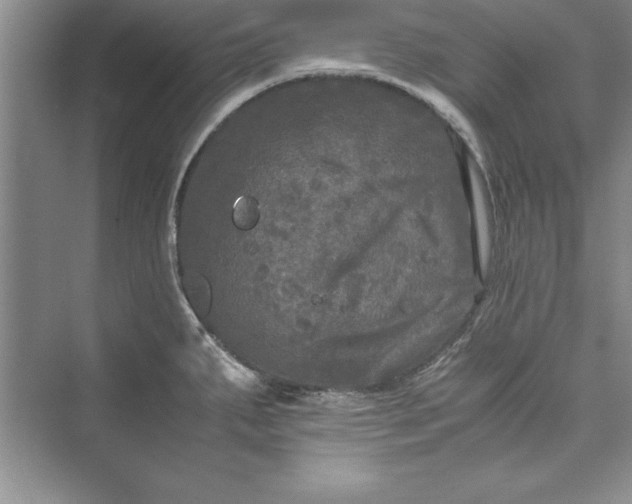 X0000073411287200608111315