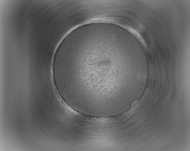 X0000073411288200608111315