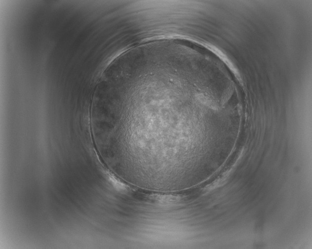 X0000073411289200608111315