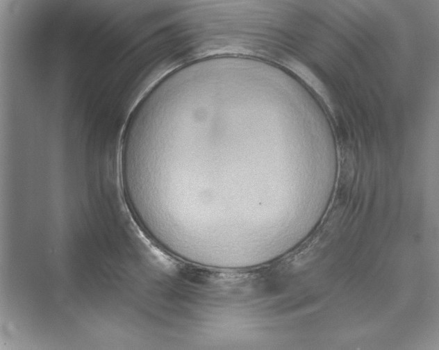 X0000073411290200608111315