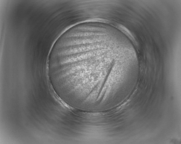 X0000073411292200608111315