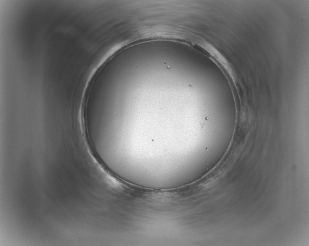 X0000073411293200608111315