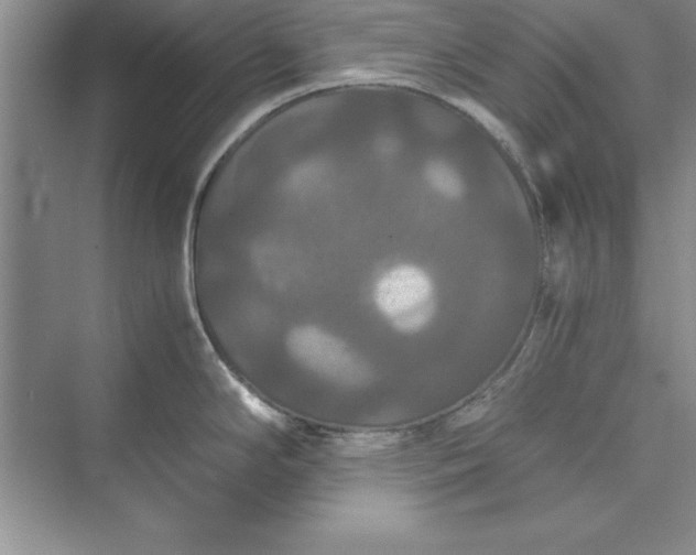 X0000073411294200608111315