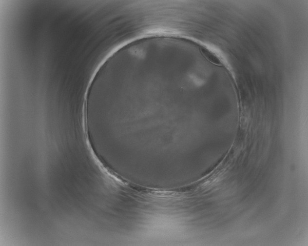 X0000073411295200608111315