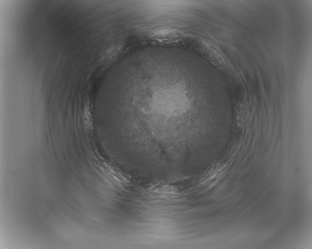 X0000073411298200608111314