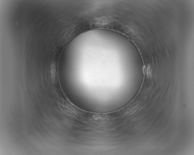 X0000073411299200608111314