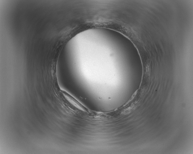 X0000073411300200608111314