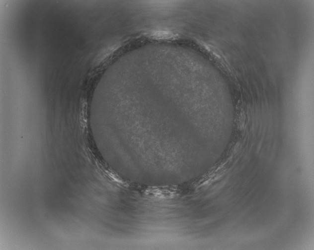 X0000073411301200608111314