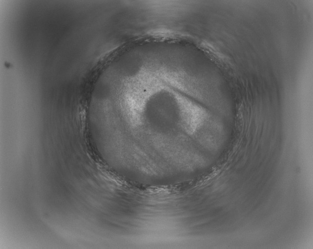 X0000073411302200608111314