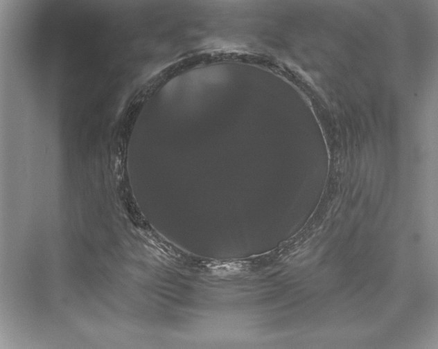 X0000073411303200608111314