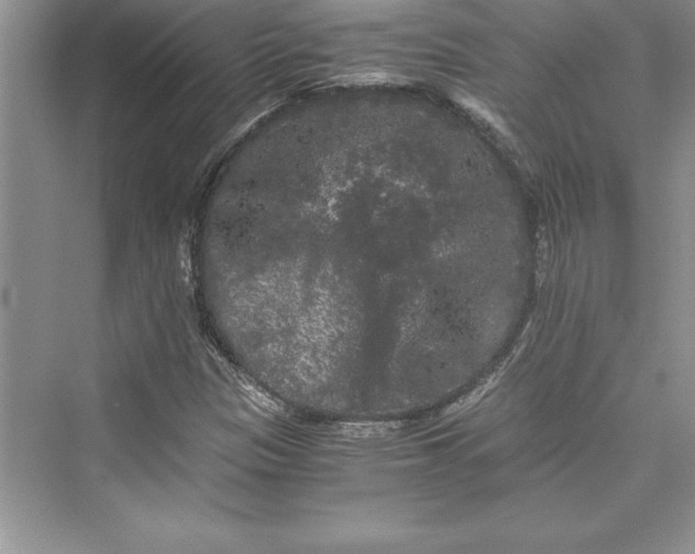 X0000073411305200608111314