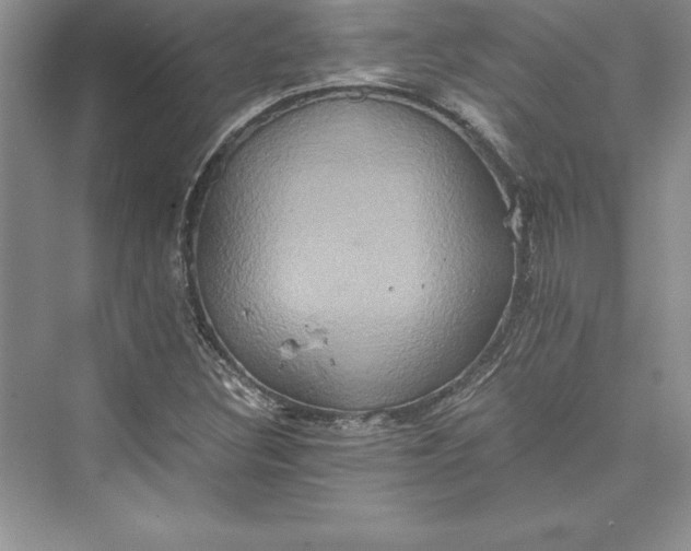 X0000073411308200608111314