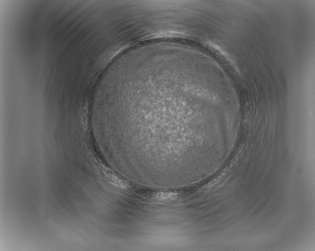 X0000073411313200608111315