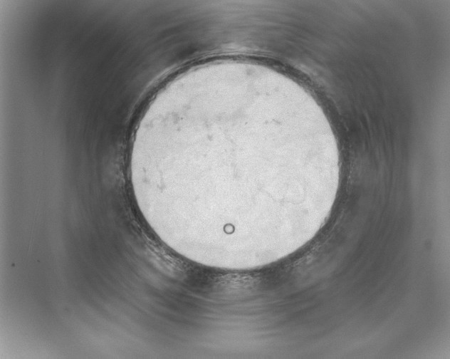 X0000073411314200608111315