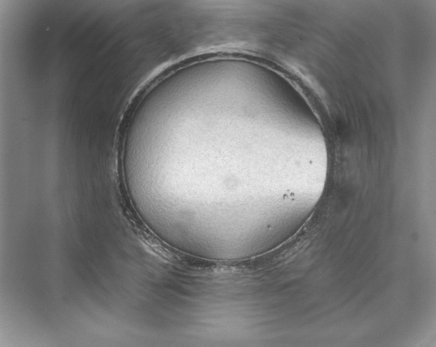 X0000073411316200608111315