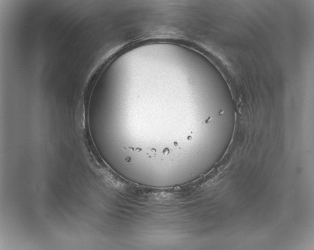 X0000073411317200608111315