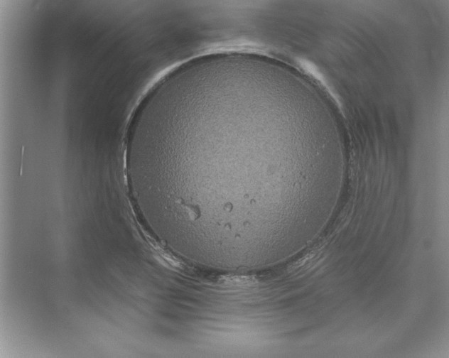 X0000073411320200608111315