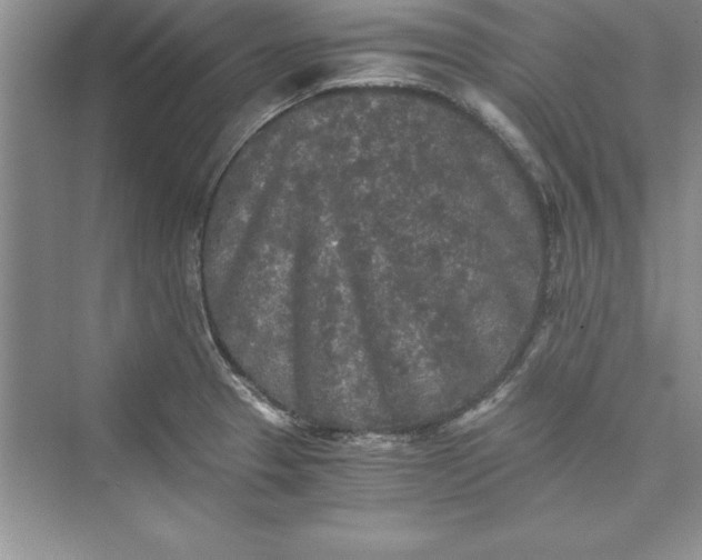 X0000073411329200608111315