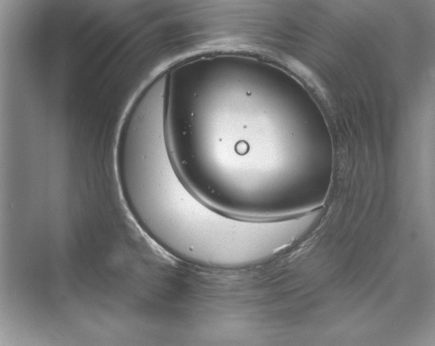 X0000073411334200608111315