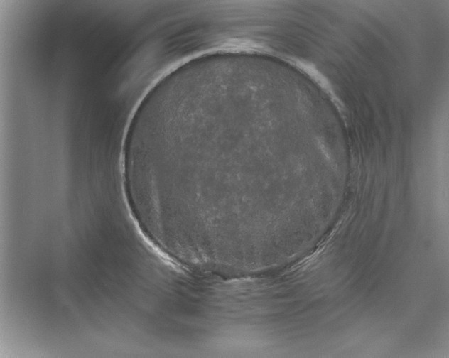 X0000073411335200608111315