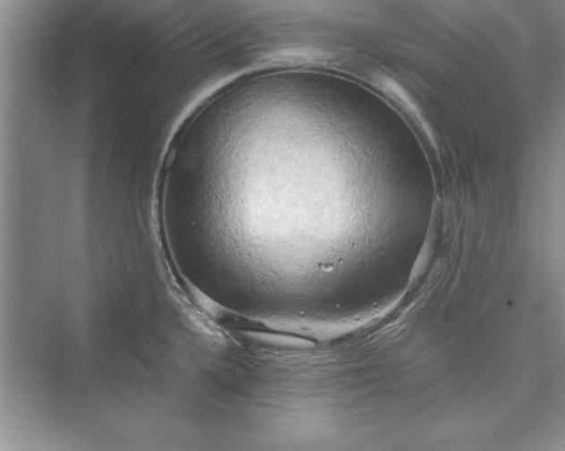 X0000073411336200608111315