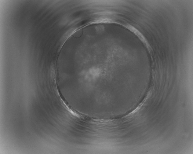 X0000073411337200608111315