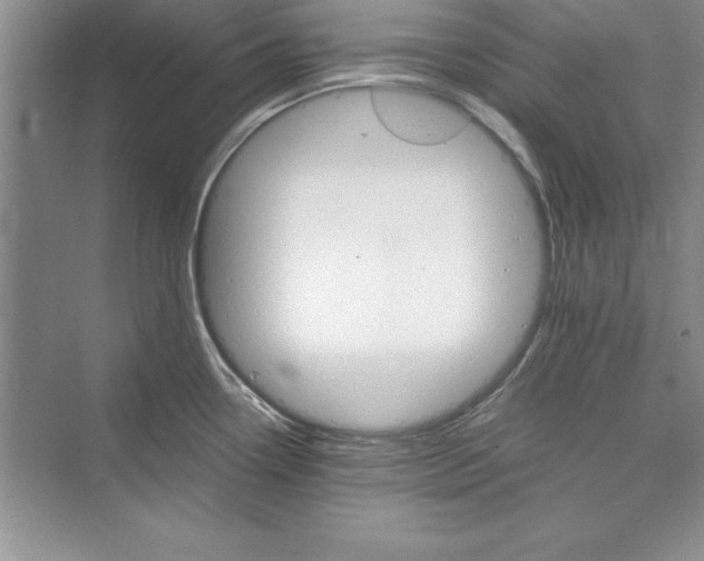 X0000073411338200608111315