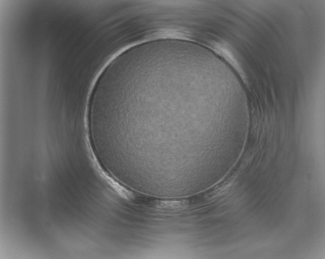 X0000073411339200608111315