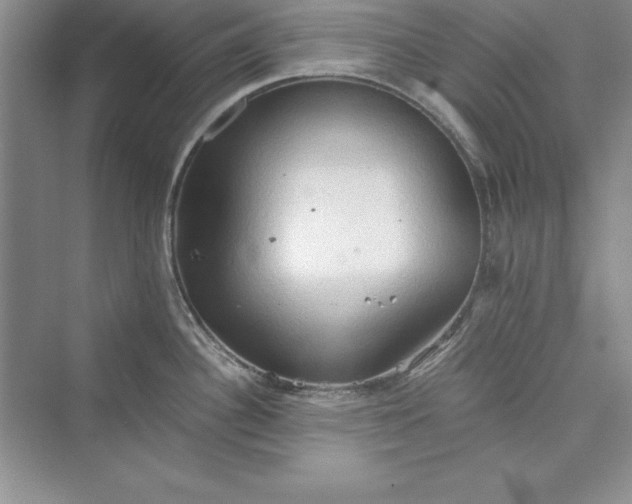 X0000073411340200608111315