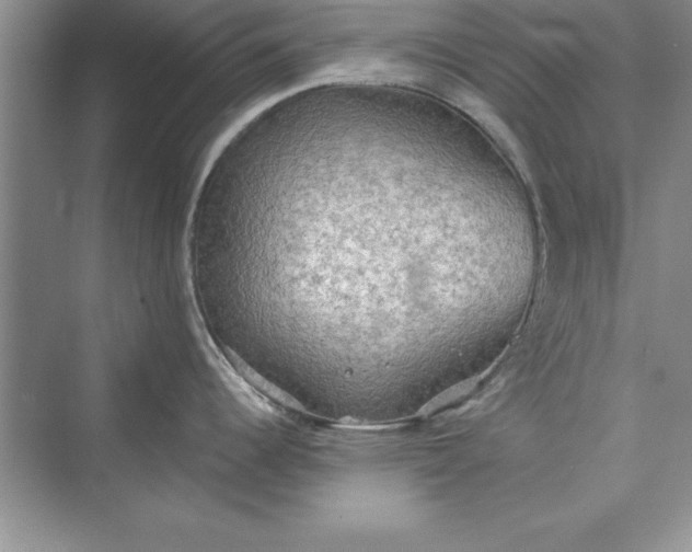 X0000073411344200608111315