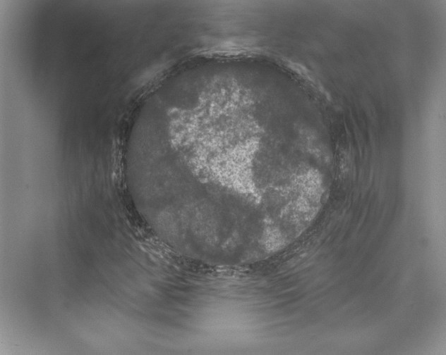 X0000073411350200608111314