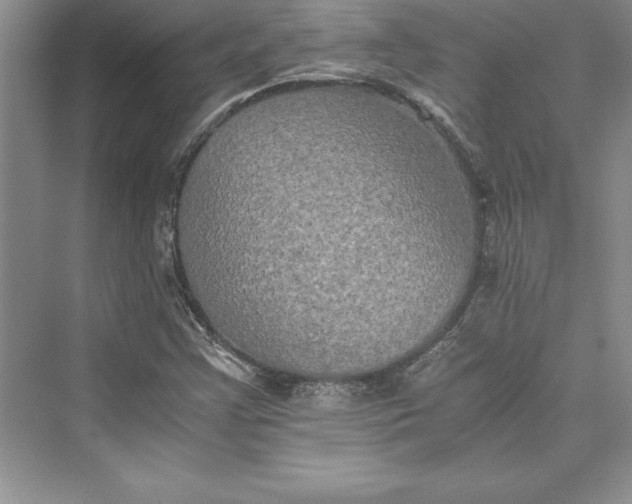 X0000073411355200608111314