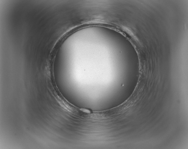 X0000073411356200608111314