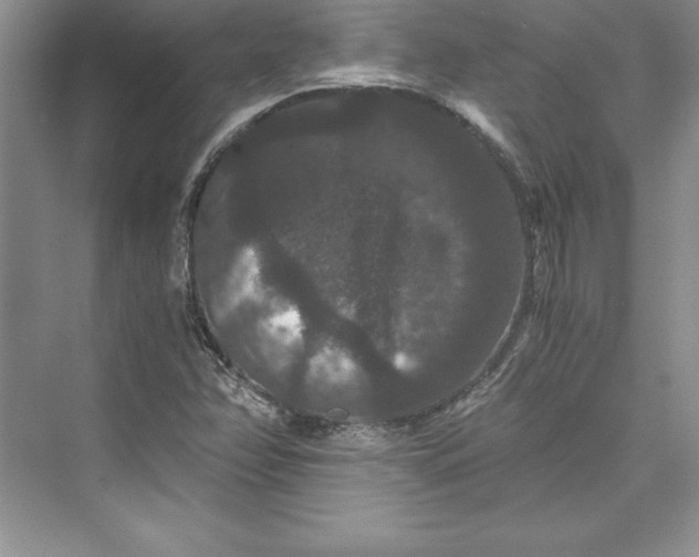 X0000073411358200608111314