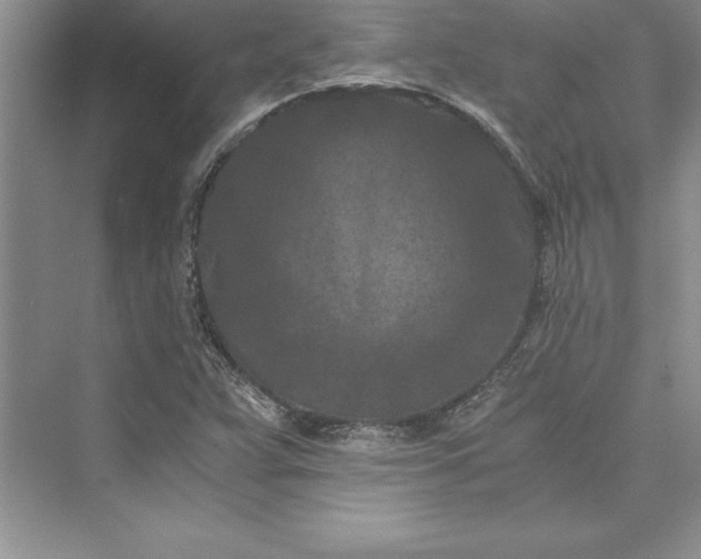 X0000073411359200608111314