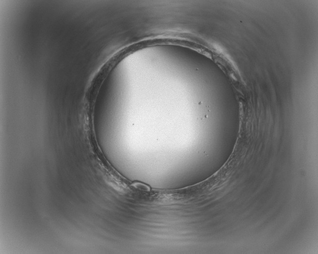 X0000073411360200608111314