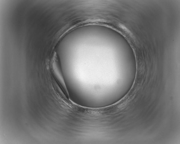 X0000073411361200608111314