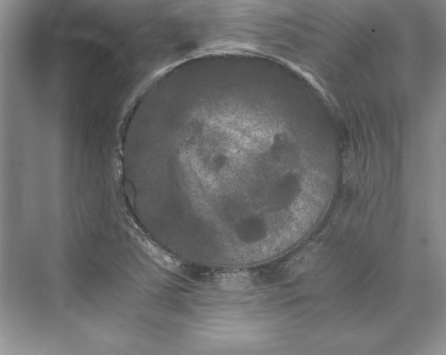 X0000073411363200608111314