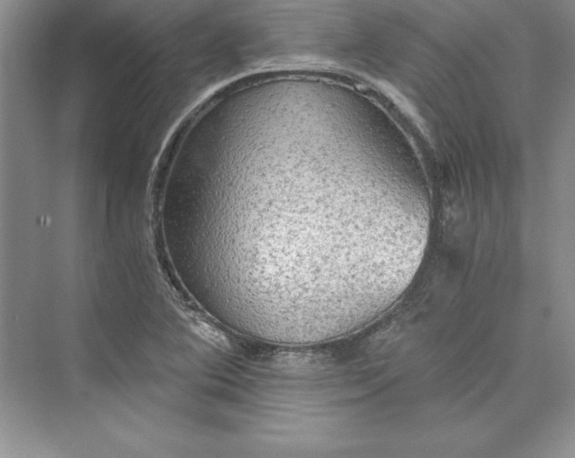 X0000073411364200608111314