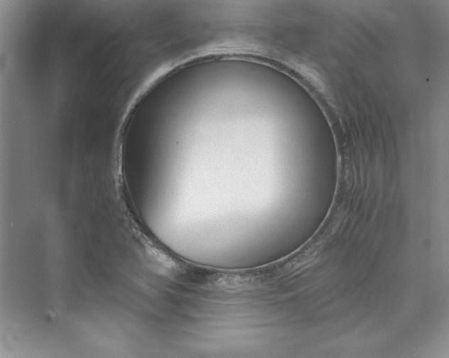 X0000073411366200608111314