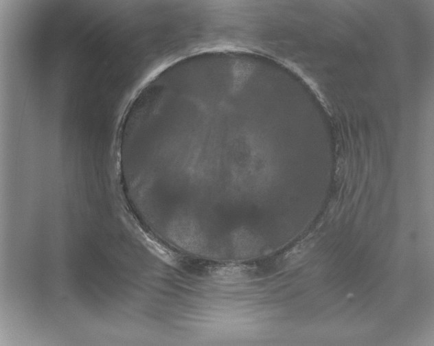 X0000073411367200608111314