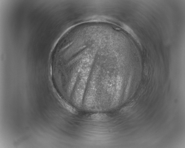 X0000073411368200608111314