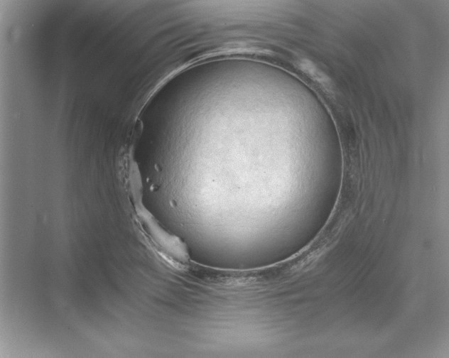 X0000073411369200608111314